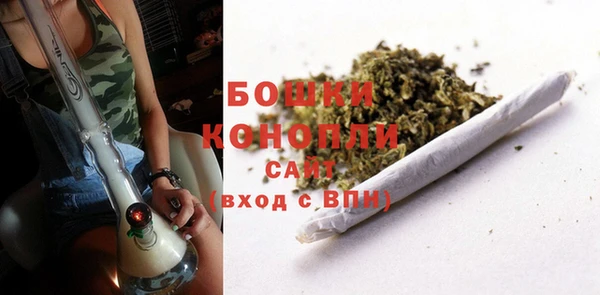 бошки Аркадак