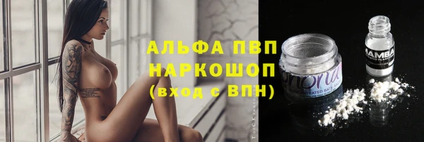 бошки Аркадак
