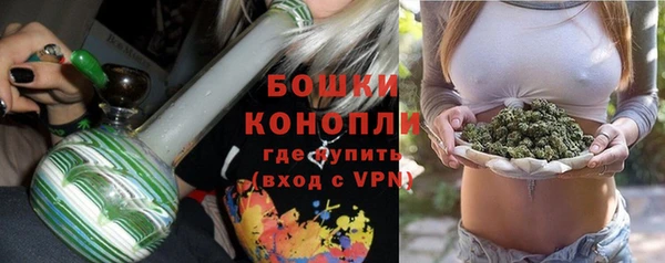 бошки Аркадак