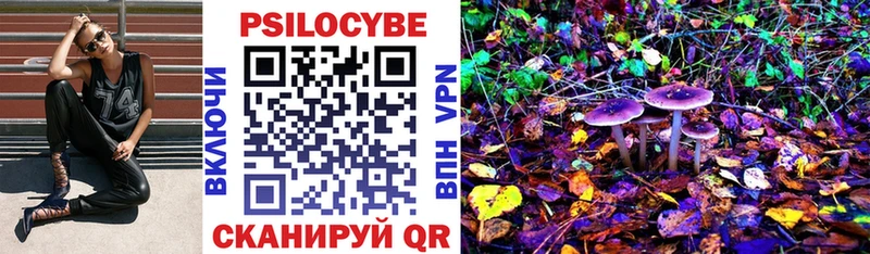 где можно купить   кракен вход  Галлюциногенные грибы Psilocybe  Армянск 